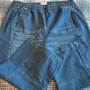 The Izzie Relaxed Pull-On Barrel Jeans by Pilcro. Xl